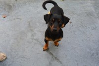 /album/gouden-mandje-gevonden/dsc-1147-jpg1/