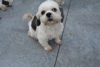 /album/gouden-mandje-gevonden/dsc-1152-jpg1/