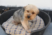 /album/gouden-mandje-gevonden/dsc-1155-jpg1/