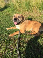 /album/gouden-mandje-gevonden/unnamed-jpg2/