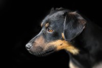 /album/gouden-mandje-gevonden/unnamed3-jpg1/