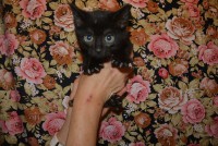 /album/gouden-mandje-gevonden/dsc-1174-jpg1/