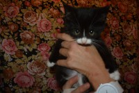 /album/gouden-mandje-gevonden/dsc-1177-jpg1/