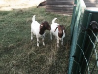 /album/gouden-mandje-gevonden/unnamed1-jpg1/