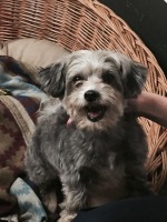 /album/gouden-mandje-gevonden/unnamed88-jpg1/