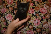 /album/gouden-mandje-gevonden/dsc-1164-jpg1/