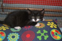 /album/gouden-mandje-gevonden/dsc-1182-jpg1/