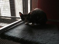 /album/gouden-mandje-gevonden/unnameda-jpg/