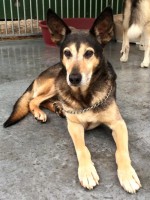 /album/gouden-mandje-gevonden/yana-jpg1/