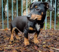 /album/gouden-mandje-gevonden/a12669176-10208569960985675-1661731997-o-jpg/