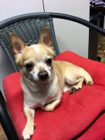 /album/gouden-mandje-gevonden/a12717358-933960360052136-8699799938209921980-n-jpg1/