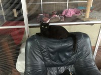 /album/gouden-mandje-gevonden/a12651211-928022700645902-3530830351608583438-n-jpg1/