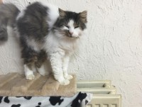 /album/gouden-mandje-gevonden/a12644962-928022673979238-6145721787385464542-n-jpg1/