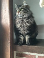 /album/gouden-mandje-gevonden/a12669434-928022693979236-6686365699899988329-n-jpg1/