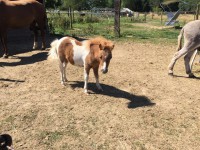 /album/gouden-mandje-gevonden/unnamedg-jpg1/