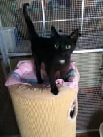 /album/gouden-mandje-gevonden/a11898690-851122978335875-6653395406051660486-n-jpg1/