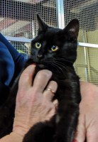 /album/gouden-mandje-gevonden/egor-jpg/