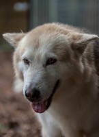 /album/gouden-mandje-gevonden/a13010841-981164565331715-8038161455150194722-n-jpg/