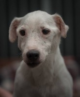 /album/gouden-mandje-gevonden/a13023547-10209288987520889-1383495441-n-jpg1/