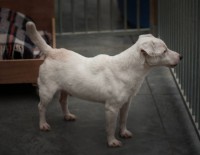 /album/gouden-mandje-gevonden/a13036609-10209288987480888-349546362-o-jpg/