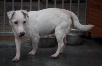 /album/gouden-mandje-gevonden/a13078059-10209288987440887-2095190276-o-jpg/