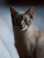 /album/gouden-mandje-gevonden/img-0025-1-jpg1/