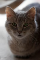 /album/gouden-mandje-gevonden/img-0031-1-jpg1/