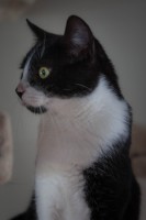 /album/gouden-mandje-gevonden/img-0062-1-jpg1/