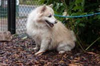 /album/gouden-mandje-gevonden/a12788928-10208770131389810-342688680-o-jpg1/