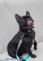 /album/gouden-mandje-gevonden/a13886279-10210138745604310-2675899762765703526-n-jpg/