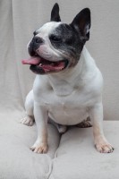 /album/gouden-mandje-gevonden/a13935115-10210138745564309-1593906120690485930-n-jpg/