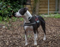 /album/gouden-mandje-gevonden/a13570345-10209869681557877-1634499030-o-jpg/